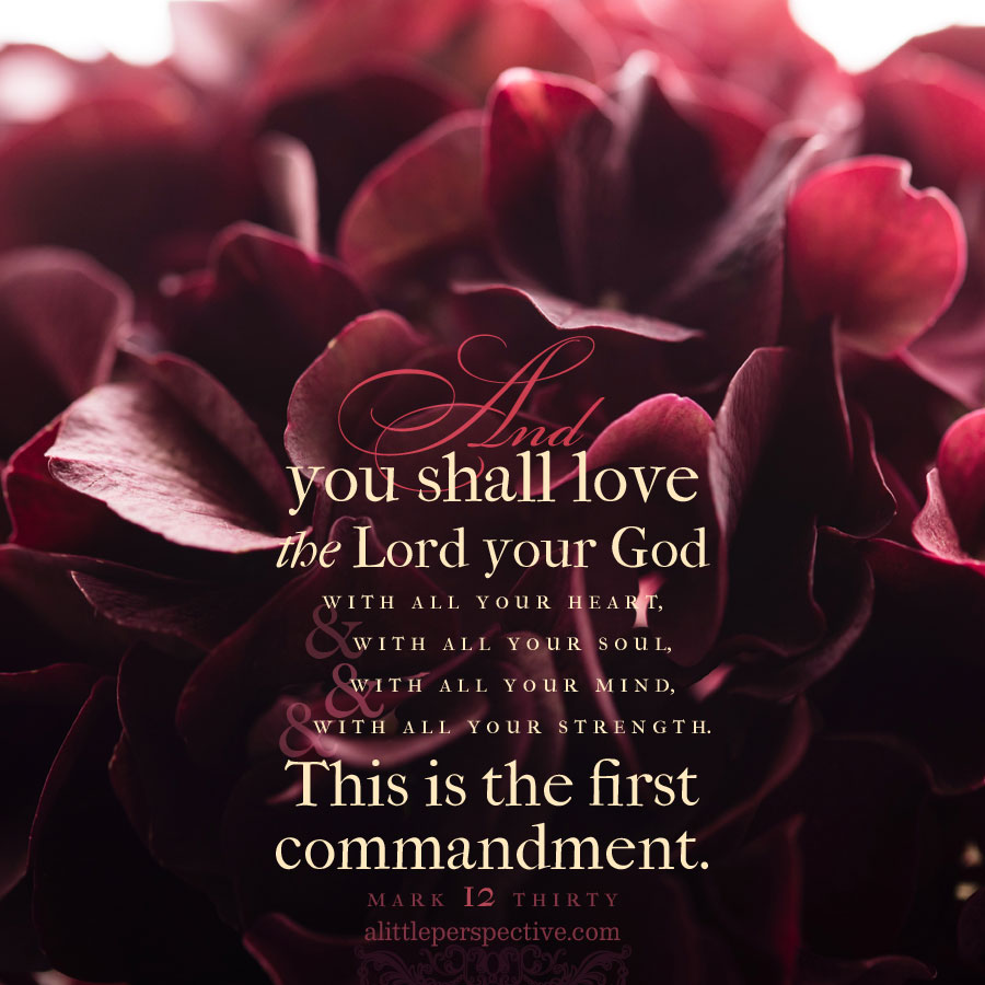 And you shall love the Lord your God with all your heart, all your soul, all your mind & all your strength.’ This is the 1st commandment. And the 2nd, like it, is this: ‘You shall love your neighbor as yourself.’ There is no other commandment greater than these. -Mark 12:30-31