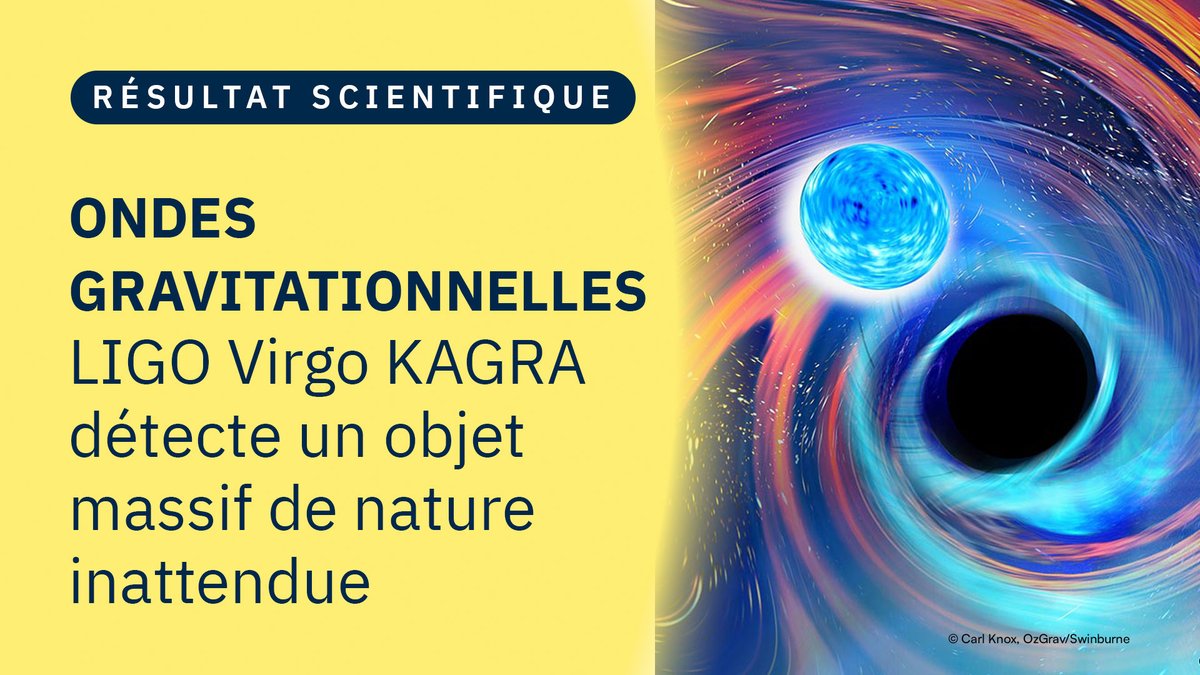 #ActualitéScientifique 🔎 | La collaboration @LIGO @ego_virgo @KAGRA_PR a détecté un signal d'#ondesgravitationnelles qui révèle l’existence d’un astre inattendu, à la fois trop léger pour être un trou noir et trop lourd pour être une étoile à neutrons🧐 in2p3.cnrs.fr/fr/cnrsinfo/un…