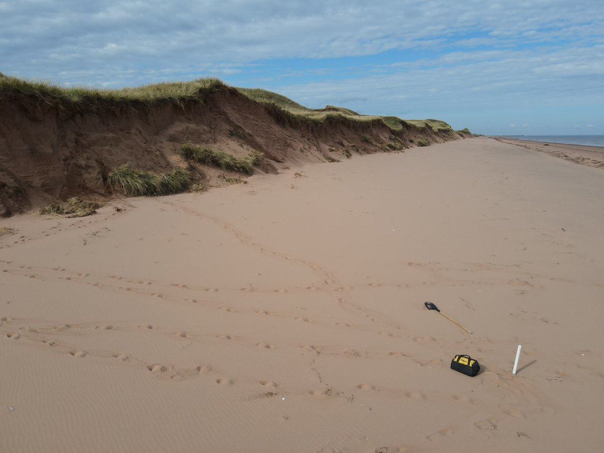 Julia Cantelon (@cantelonjulia) on Twitter photo Excited to share a new open-access <a href="/JGREarthSurface/">JGR-Earth Surface</a> paper with co-authors <a href="/nicolekleroux/">Nicole LeRoux</a>, <a href="/Ryan_P_Mulligan/">Ryan P. Mulligan</a>, <a href="/laura_swatridge/">Laura Swatridge</a>, & <a href="/DalHydro/">Barret Kurylyk</a> that showed increased and prolonged #groundwater salinization from #flooding and erosion during Hurricane Fiona. doi.org/10.1029/2023JF… Excited to share a new open-access <a href="/JGREarthSurface/">JGR-Earth Surface</a> paper with co-authors <a href="/nicolekleroux/">Nicole LeRoux</a>, <a href="/Ryan_P_Mulligan/">Ryan P. Mulligan</a>, <a href="/laura_swatridge/">Laura Swatridge</a>, & <a href="/DalHydro/">Barret Kurylyk</a> that showed increased and prolonged #groundwater salinization from #flooding and erosion during Hurricane Fiona. doi.org/10.1029/2023JF…