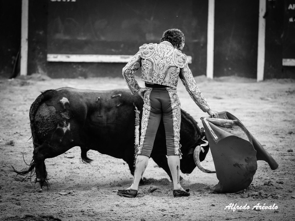 SolyLuna11_22's tweet photo. Aunque no lo haya pasado de fase, la revelación de la @CopaChenel se llama @torerorubensanz https://t.co/MOyYxHY1Go