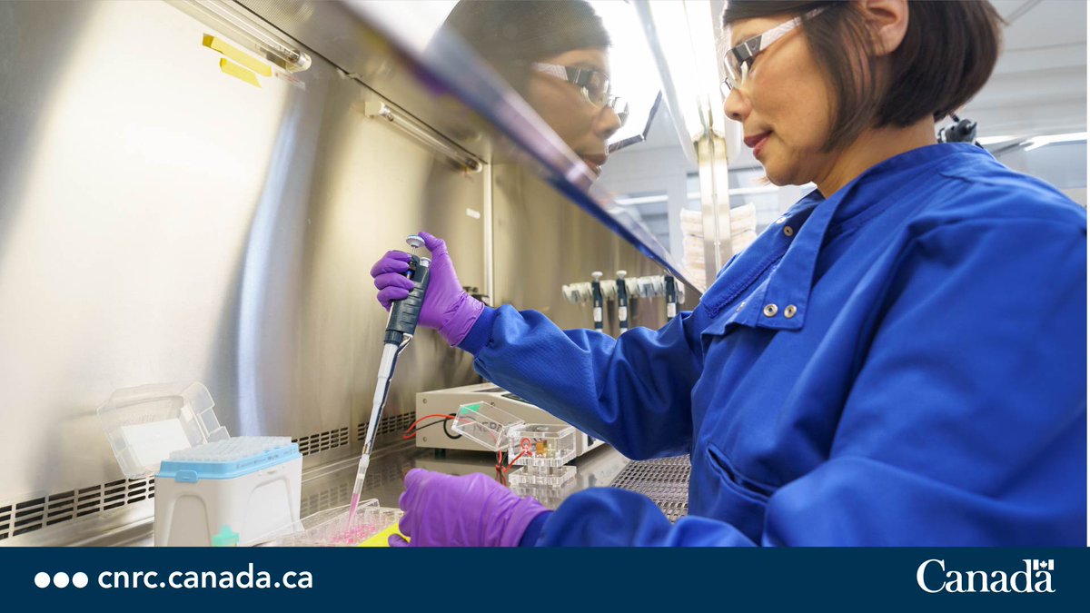 #SantéCNRC, avec le programme des immunothérapies du cancer dirigées par le Canada de @BioCanRx, a mis au point une thérapie cellulaire CD22-CAR-T pour patients atteints de cancers du sang comme la leucémie et le lymphome. ow.ly/8Iwi50RaG1s #DéfiThérapiesGéniquesCNRC