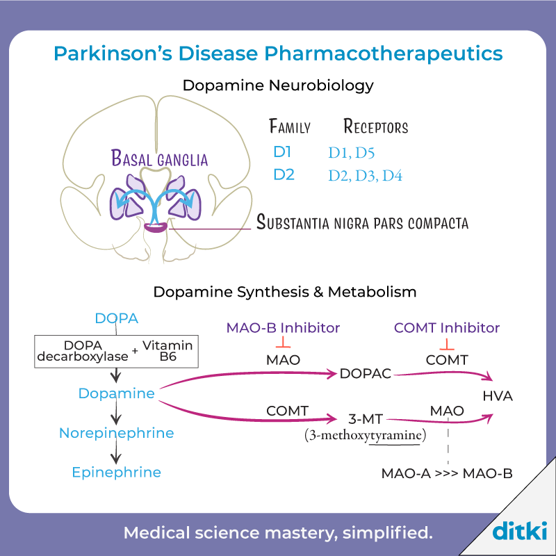 New Pharmacology art! Check out the full tutorial: l8r.it/1pkb #ditki #usmle #meded #medschool #medstudent #highered #pharmtutorial #usmletutorials #pharmacology #nursing #pance #physicianassistant #osteopath #allopath #medicine #science #healthscience #nurse