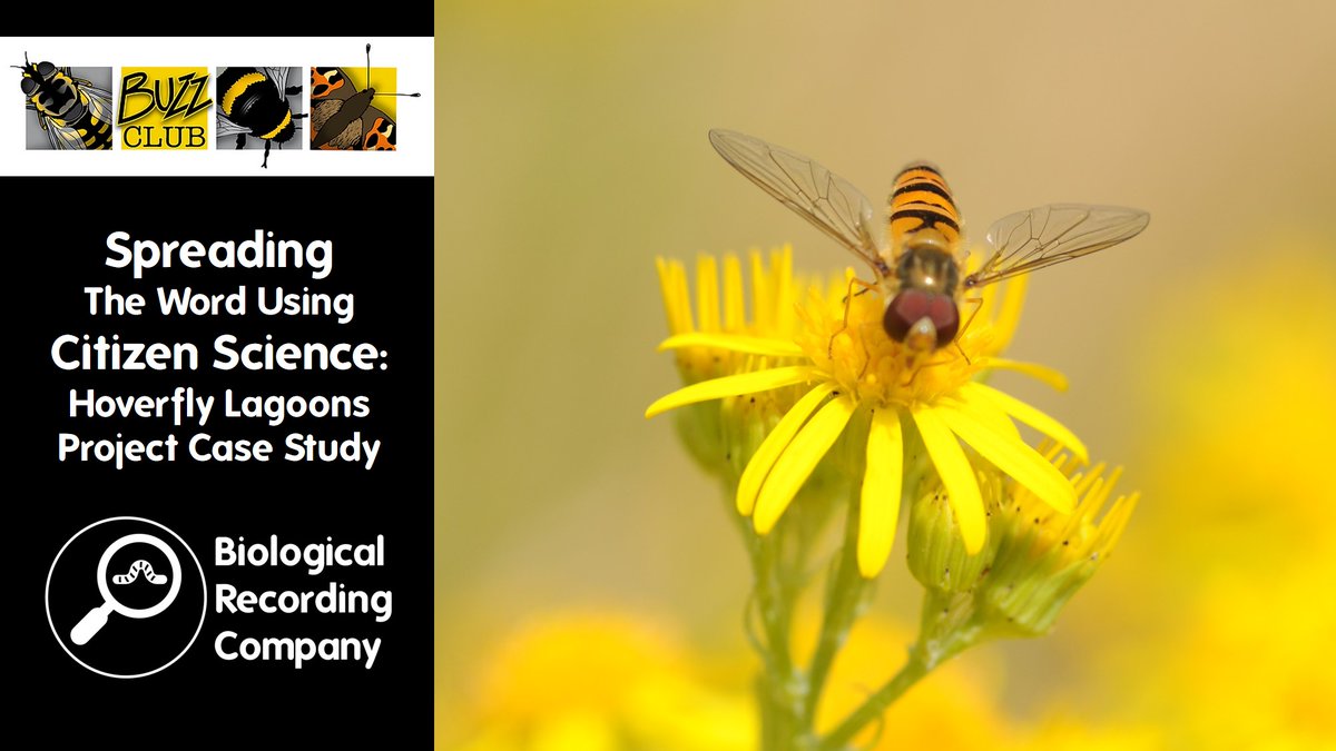 Have you booked onto our Symposium yet? One of our talk's below: Spreading the Word Using Citizen Science: Hoverfly Lagoons Project Case Study 16 May 2024 | Dr Ellen Rotheray | The Buzz Club eventbrite.co.uk/e/773643988997 @HoverflyLagoons @EllenRotheray @DaveGoulson @KeironDBrown