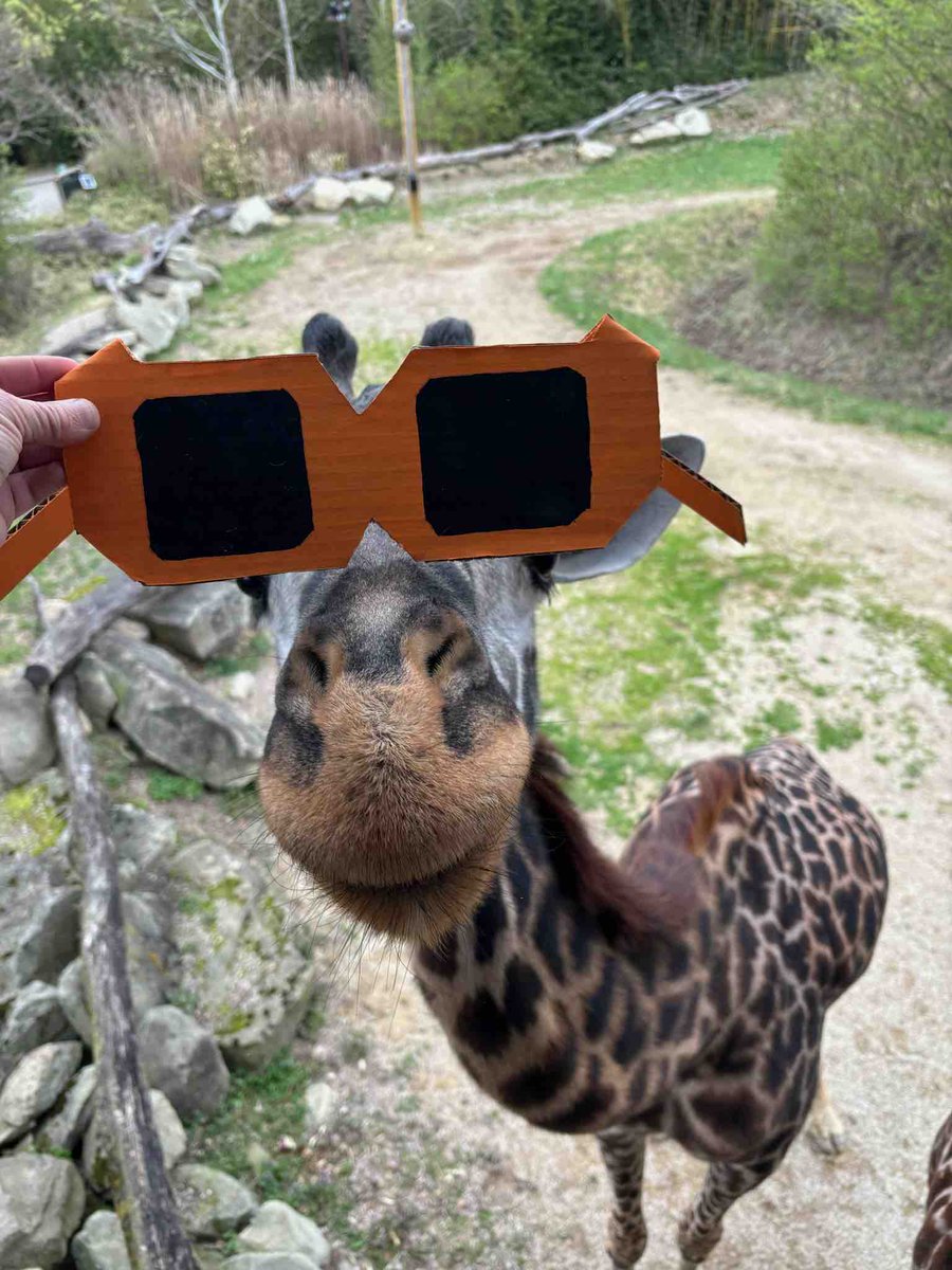 Cincinnati Zoo tweet media