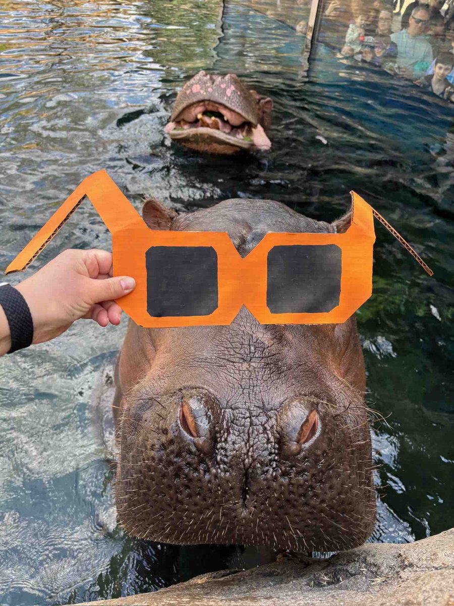 Cincinnati Zoo tweet media