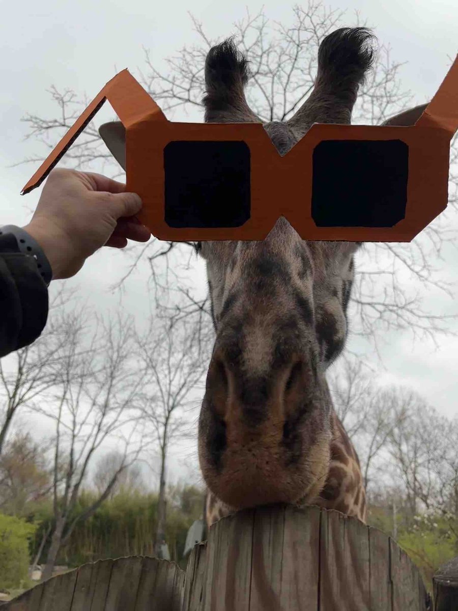 Cincinnati Zoo tweet media