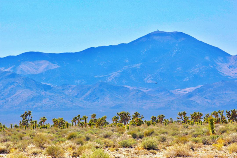 FrontierTerr's tweet photo. #MondayMotivation: You may not see a UFO on the #ETHighway, but you'll always find beautiful views like this. 😍
📸: @gibbsfamilyadventures / Instagram https://t.co/PO4auITdL3