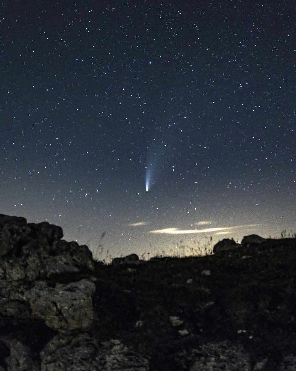 Jan Schick tweet media