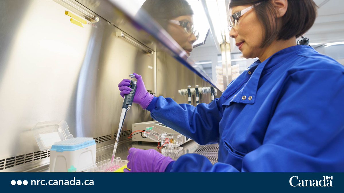 #NRCHealth, together with the @BioCanRx Canadian-Led Immunotherapies in Cancer program, has developed a made-in-Canada CD22-CAR-T that could offer new treatment options for patients with blood cancers such as leukemia & lymphoma. ow.ly/Nlio50RaFY0 #NRCChallengeGeneTherapy