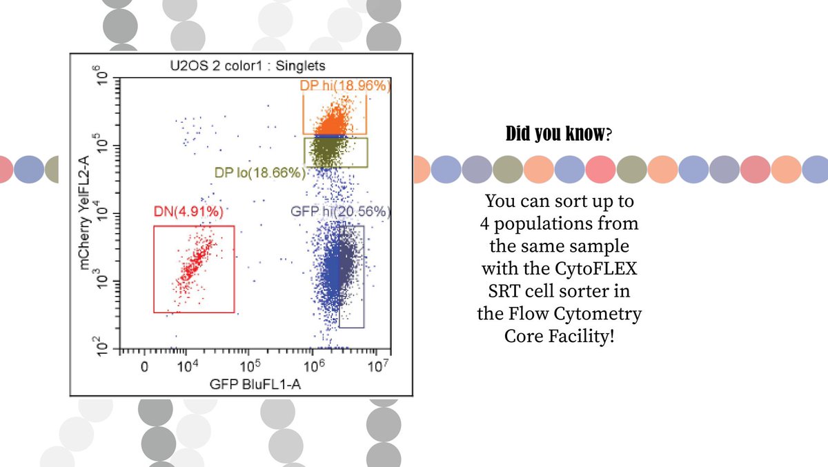 #BiotechMonday   

Sort your cells in our Flow lab! 
>>biotech.unl.edu/flow-cytometry<<