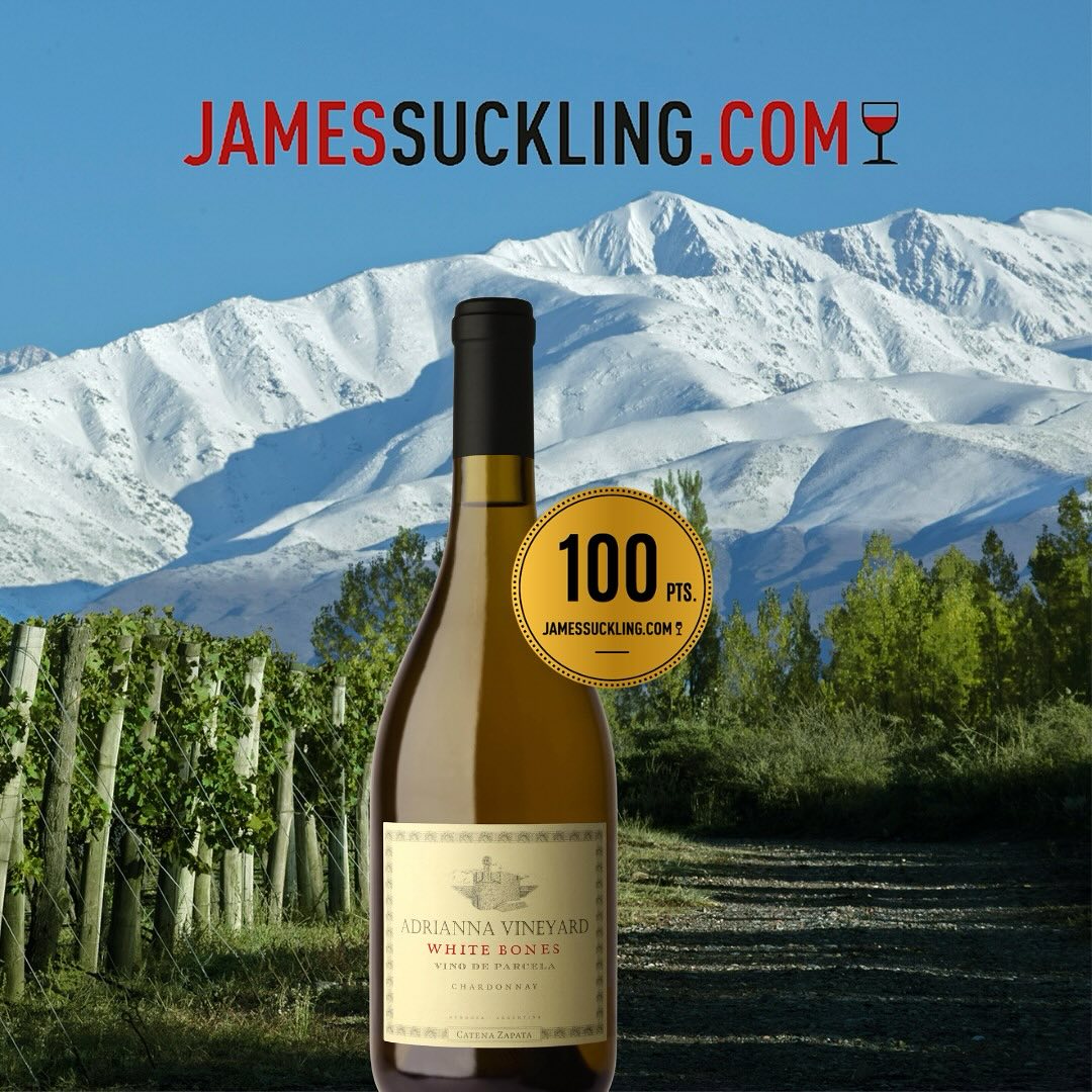 Catena Zapata Adrianna Vineyard White Bones 2022 has just received an astounding 100 points from the esteemed wine critic, James Suckling!