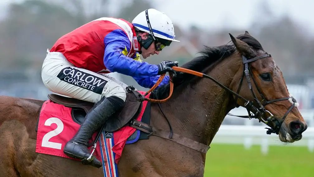 rpbloodstock's tweet photo. 🏇 Total of 28 entries announced for the Goffs Aintree Sale on Thursday

Read more here 👉 https://t.co/K9swBEHQyR https://t.co/sBQal22iKu