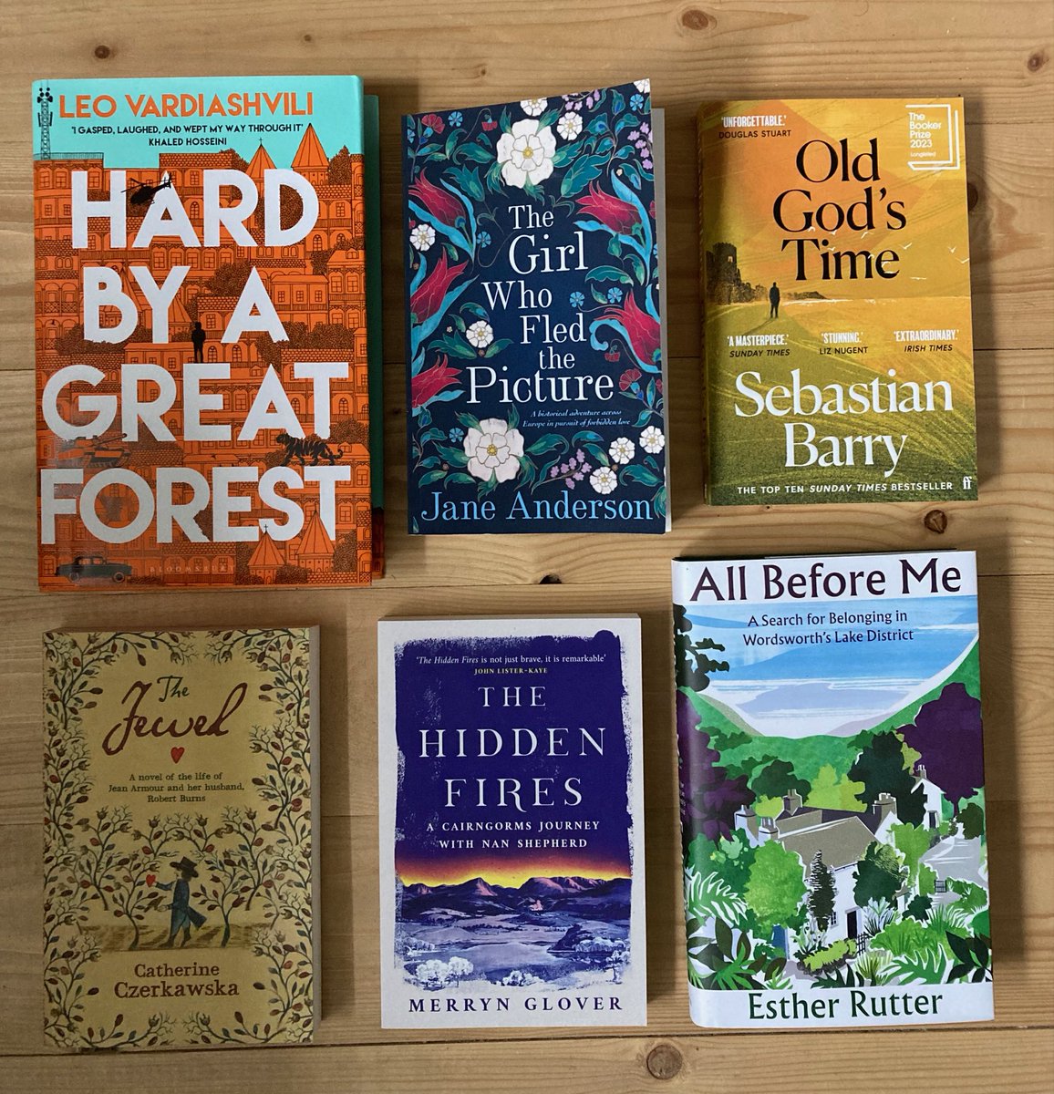 Look at this great haul of books I've collected for my April reading! I've started with @L_Vardiashvili 's #Hardbyagreatforest, looking forward to all the others very much @JaneSAnderson15 #SebastianBarry #CatherineCzerkawska @MerrynGlover @erutterwriter