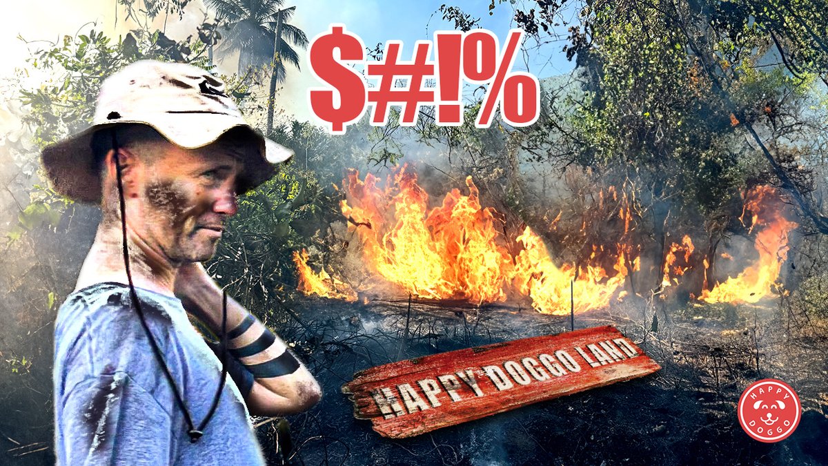 Niall Harbison tweet media