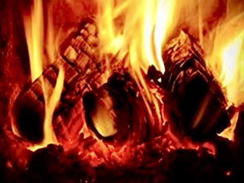 Looks like rain on & off this week in NW WA! If you plan to burn wood for heat next winter, make sure it's dry! This video from the Fairbanks (AK) North Star Borough shows why you should burn with dry wood: bit.ly/3ts0ZeD And try to use other heat sources -- not wood!