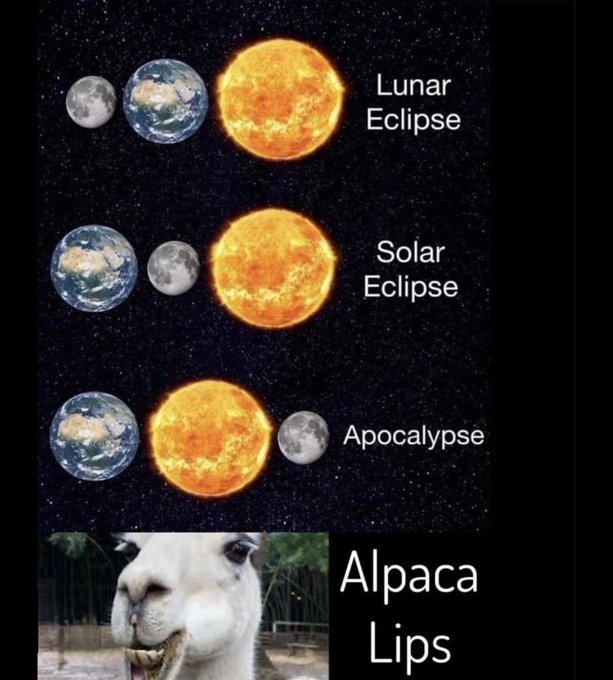 🤣🤣🤣 Woke up this morning and immediately thought, "Awww, I missed the Rapture."  Happy End of the World