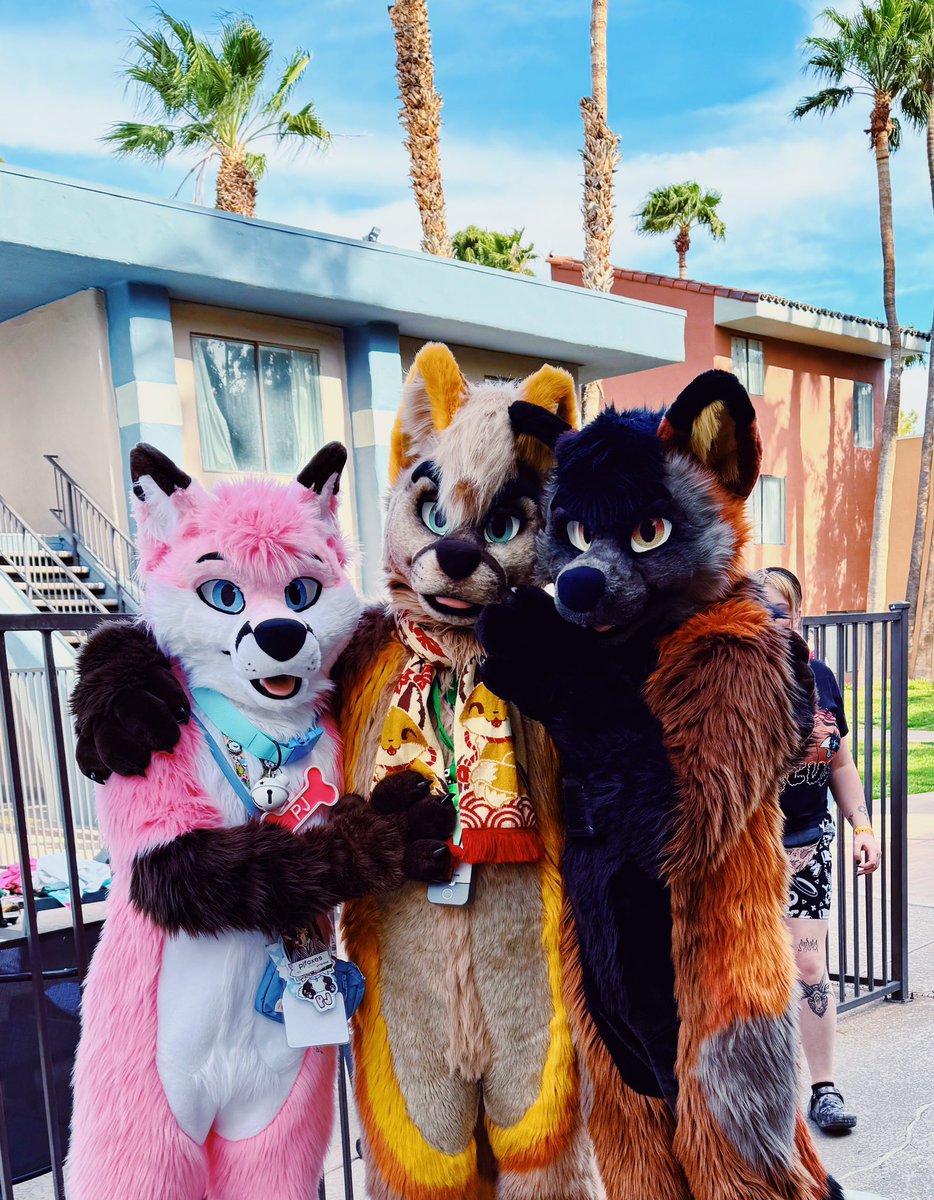 Candy foxes! #MixedcandyMonday 🩷 @pjfoxes 🧡 @Tyler_TheFox 💛 @Aurichalkos 🪡 @mixedcandy #LVFC #foxes #fursuit #fursuiter