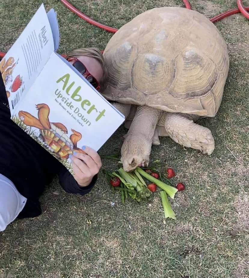 We love to see YOU and YOUR #tortoises and #turtles with our #ALBERTthetortoise goodies.. Please keep sharing your #pictures. Posing now possible with six ALBERT #picturebooks, #BoardBook ALBERT and his Friends, #ActivityBook ALBERT PUZZLES AND COLOURING. AlbertTortoise.com