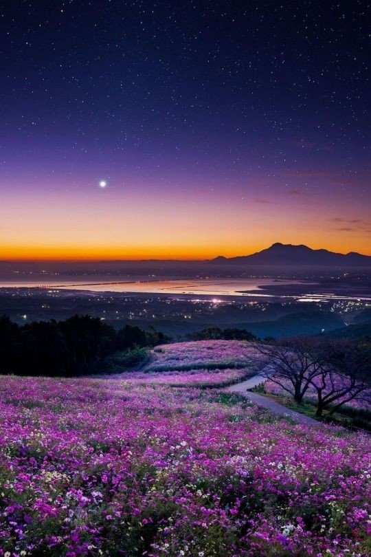 🌸
Good evening

#Monday #nature