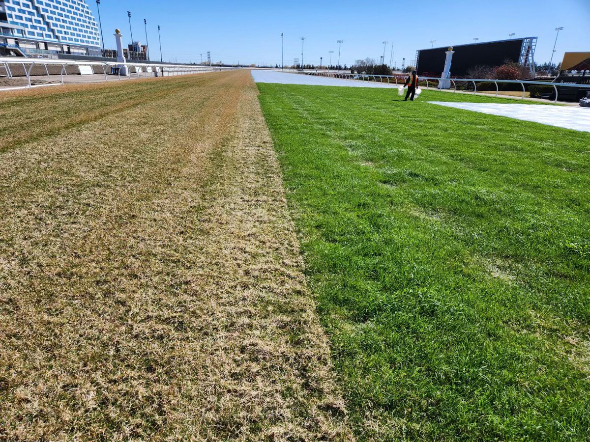 Spring Cleaning! ☀️ As we inch closer to Opening Day on April 27 @WoodbineTB, our Track Surfaces team is removing the Inner Turf cover, which was used for the first time this off season. Weather permitting, Turf Racing will debut earlier than usual this Live Racing Season!