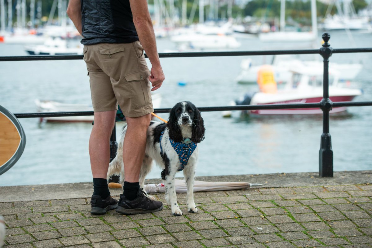 Whether it's exploring the historic Dartmouth Castle or enjoying a leisurely stroll along the scenic South West Coast Path, there's something for every pup to enjoy in #DogFriendlyDartmouth. 🐶 Discover dog-friendly attractions here 👇 discoverdartmouth.com/dog-friendly-a… #NationalPetMonth