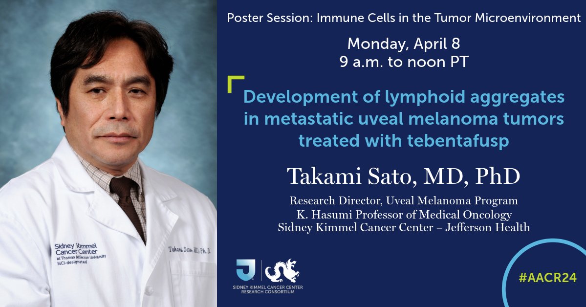 #AACR24: Dr. Takami Sato is presenting on the formation of lymphoid aggregates within the tumor microenvironment in response to tebentafusp treatment for metastatic #uvealmelanoma at this morning's poster session. More: abstractsonline.com/pp8/#!/20272/p…