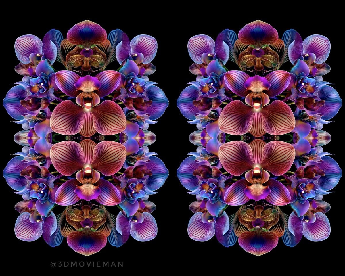 #stereoscopic orchid #fractal #AIart 

#stereoscopy #synthography #aiartcommunity #midjourney #aicreation