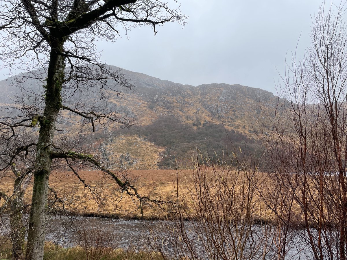 It will see the re-establishment of 1,000 ha of oak, holly and birch native woodland over the next 100 years, bringing wooded hillsides lush with native trees and ground flora back to Glenveagh's iconic valley, and providing valuable habitat for birds, mammals, insects and fungi.