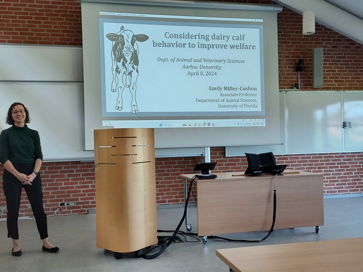 As a warm up for the PhD defense of @EmmaHvidtfeldt tomorrow her opponents are presenting their work on dairy cow and calf welfare. Karin Schutz from AgResearch, New Zealand and @ekmillerc from @UF  @Husdyrforskning