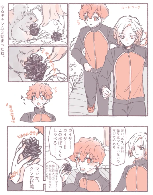 kinsとまつぼっくり 