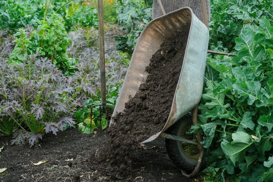 Mulching can help retain soil moisture, but what other benefits does it offer? Share your experiences. #Mulching #SoilHealth #monday @Megleefarms  @OyeyemiAdu1142  @farmtribe_