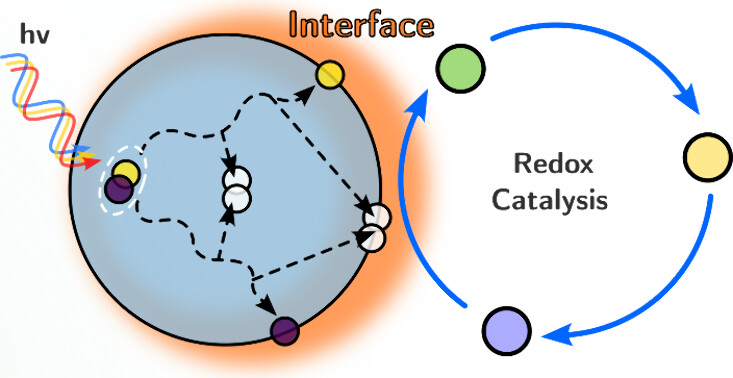 Li-Zhu Wu, Chen Ye & team delve into interfacial photoredox catalysis with QDs, emphasizing interfacial charge transfer’s role in precise chemical reactions and highlighting its potential for complex transformations NEW #ASAP Read it here: go.acs.org/8NA