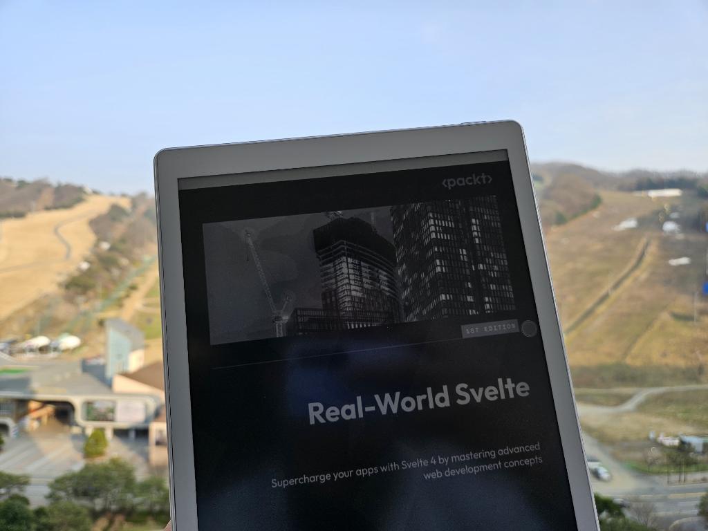 Finally, reading Real-World Svelte by @lihautan