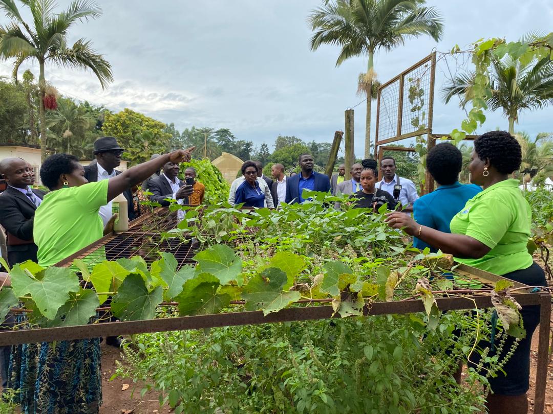 NARO_MUZARDI's tweet photo. Members of Parliamentary Committee of Agriculture on a supervisory visit of @narouganda research technologies #aquaculture #urbanagricukture for development. https://t.co/JRRo2TzjUN