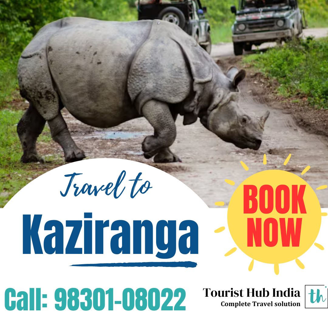 This is a customized Guwahati Shillong Kaziranga Kamakhya tour packages fully designed according to your Budget. 
Grab this Kaziranga tour package from Guwahati Special Rate offer by Tourist Hub India.
visit : touristhubindia.com/packages/guwah…
#kaziranganationalpark #guwahati #aasam