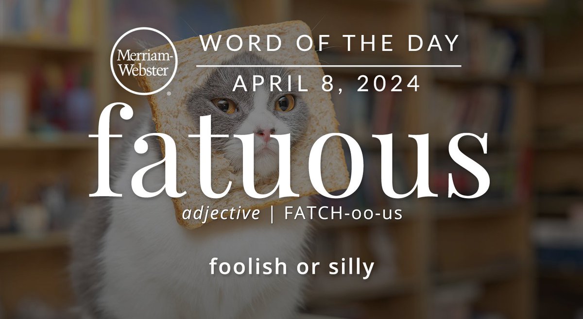 Merriam-Webster tweet media