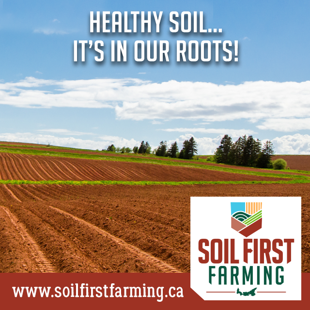 Healthy roots improve soil structure by releasing sugars &amp;other bioactive compounds into the soil around them. A well-established root system contributes to overall soil health in a multitude of ways, helping the soil sequester carbon, filter water &amp; improve overall soil function
