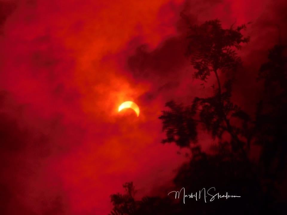 mbellesteadman's tweet image. Are you ready for the solar eclipse today? 
Here are those eclipse pictures using my sun filter taken August 21,2017 around 1630 pm. #solareclipse2017 #solareclipse #salemwillows  #salemmassachusetts #naturalphenomenon #naturephotography #riseandshineon7 @7news @destsalem