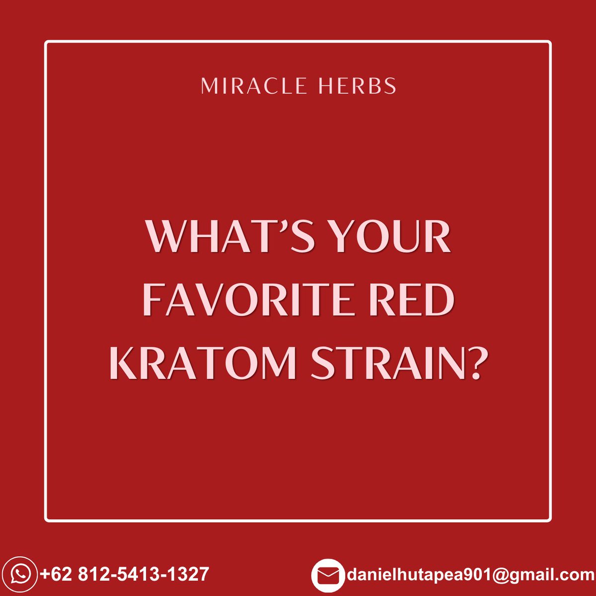 Kratom tip: If you are looking for an energizing, uplifting kratom strain, Red vein kratom would be the most suitable. Red Borneo, and Red Sumatra are among our favorites. What’s yours? 

#MiracleHerbs
#Hawaii #Idaho #Illinois #Indiana #Iowa #Kansas #Kentucky #Louisiana #Maine