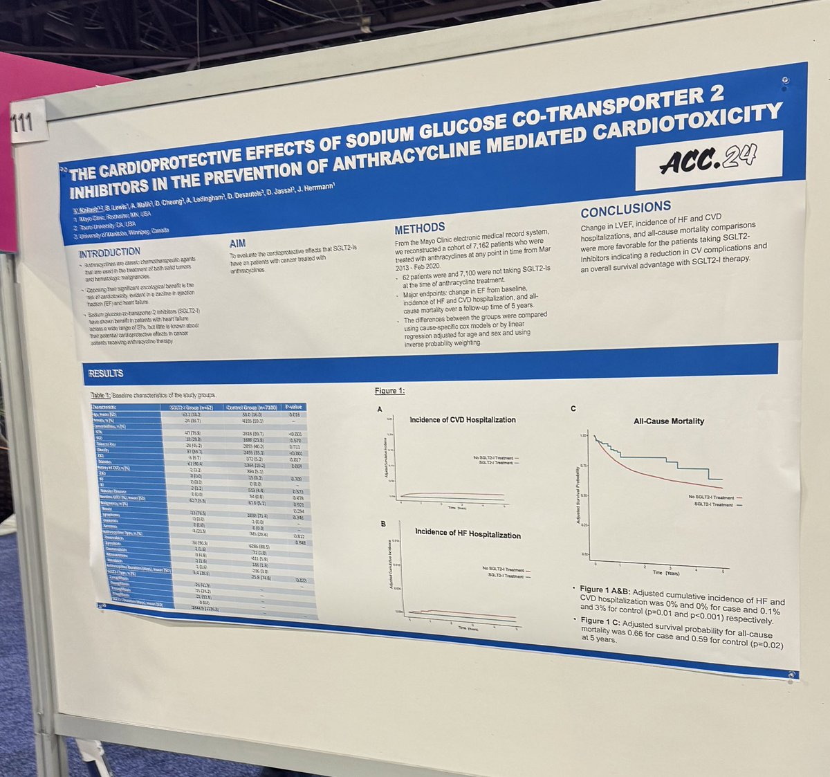 Another great #cardioonc poster suggesting benefit of sglt2 inhibitors in preventing anthracycline cardiotoxicity. #cardioonc #jacccardioonc #ACC24
