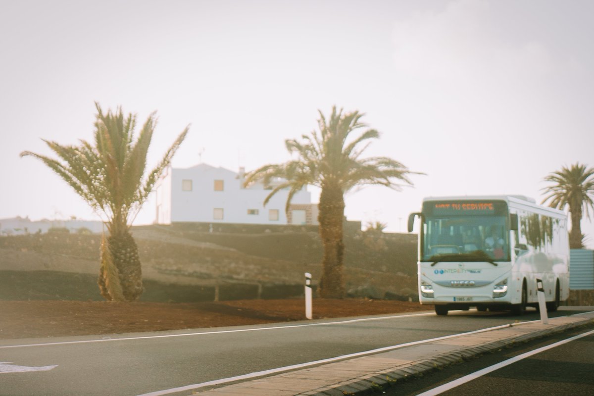🚌Tu viaje es nuestra prioridad, ¡confía en nosotros y practica el guagüismo!

#Yovoyenguagua #Guagüismo #DescubreLanzarote #MuéveteenGuagua #Lanzarote #LanzaroteenGuagua #PracticaGuagüismo #Guagua #IslasCanarias #CanaryIslands #TurismoLanzarote #Transporte #TransporteSeguro