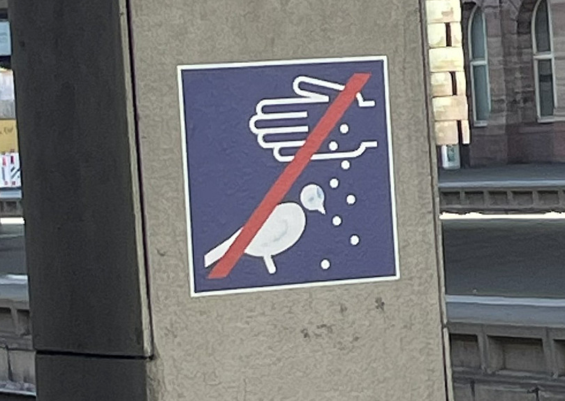 in mannheim ist es übrigens verboten die tauben zu würzen