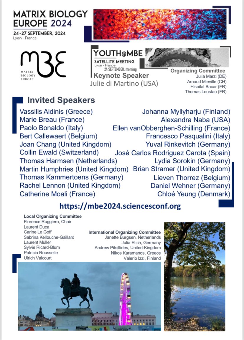 #mbe2024 is fast approaching!!! Only a few days left for early bird registration to this exciting #ECMatrix event!!! Will you join us in Lyon? We'll be waiting!!! @TheRuggieroLab @IntSocMatBio @ExtracellMatrix @Matrixbiologie @BSMB1 @DSMB_dk @FinnSocMatBio @csbmb_junior