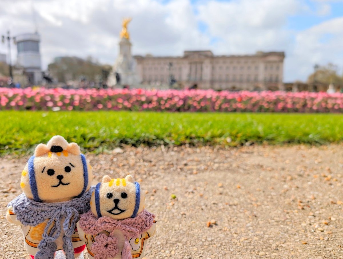 ごろごろいもすけ🇬🇧→🇯🇵 tweet media