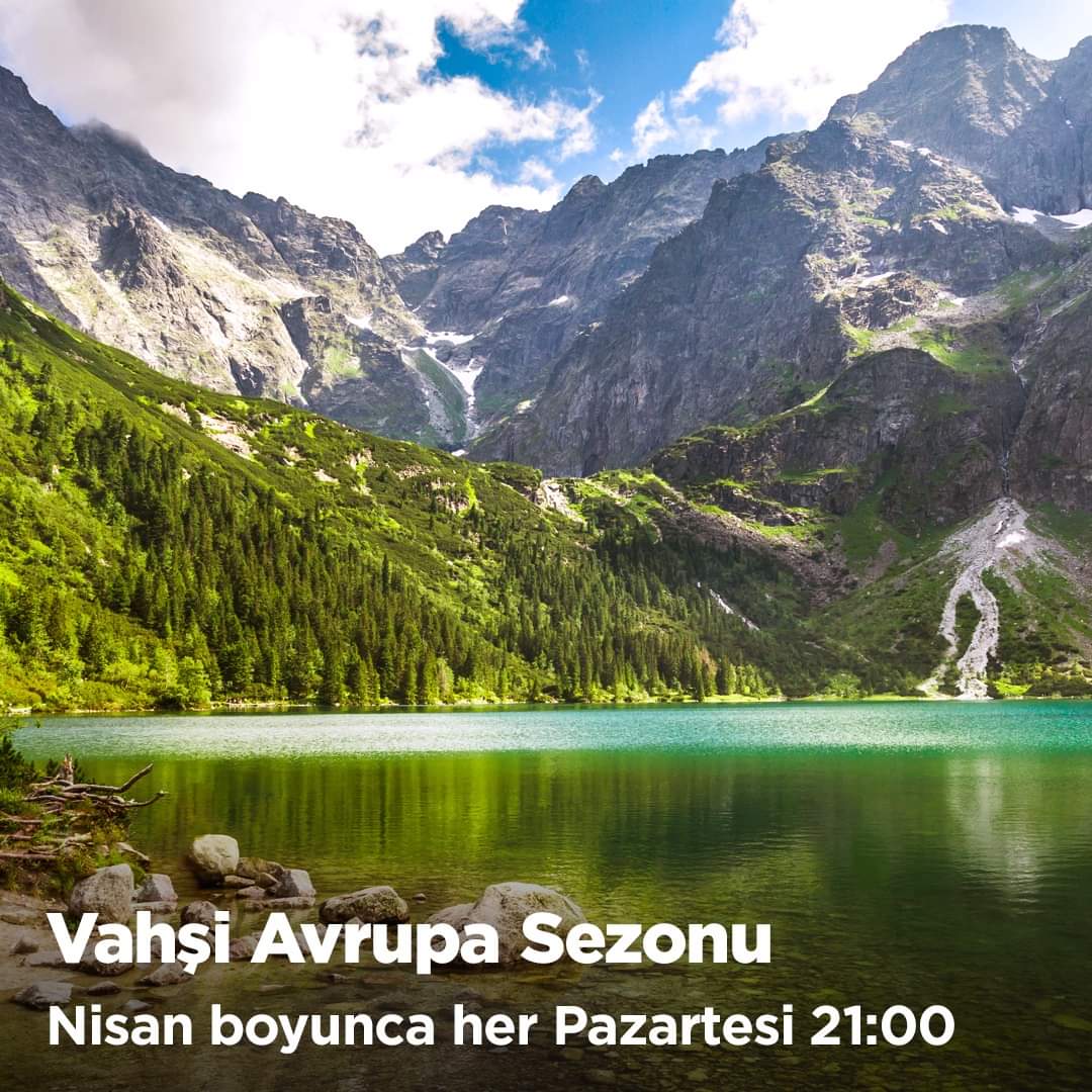 Viasat Nature || Polonya, Romanya, Hollanda, Almanya, Belçika'nın çeşitli manzaralarında yürürken, Avrupa çapında destansı bir macera için bize katılın... 🏞 VAHŞİ AVRUPA SEZONU - Nisan ayı boyunca her Pazartesi saat 21:00'den itibaren. Viasat Nature Kablo TV 'de