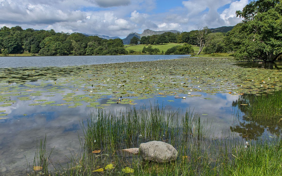 Loughrigg Tarn, Lake District NP