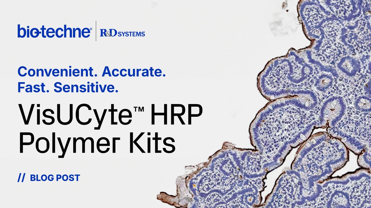 biotechne's tweet photo. Our latest blog highlights our new and improved VisUCyte HRP Polymer Kits. Discover the benefits and learn how they can advance your #IHC tissue staining! #Immunohistochemistry #TissueStaining https://t.co/3SQIQxJn9I https://t.co/8D18ky6RxQ