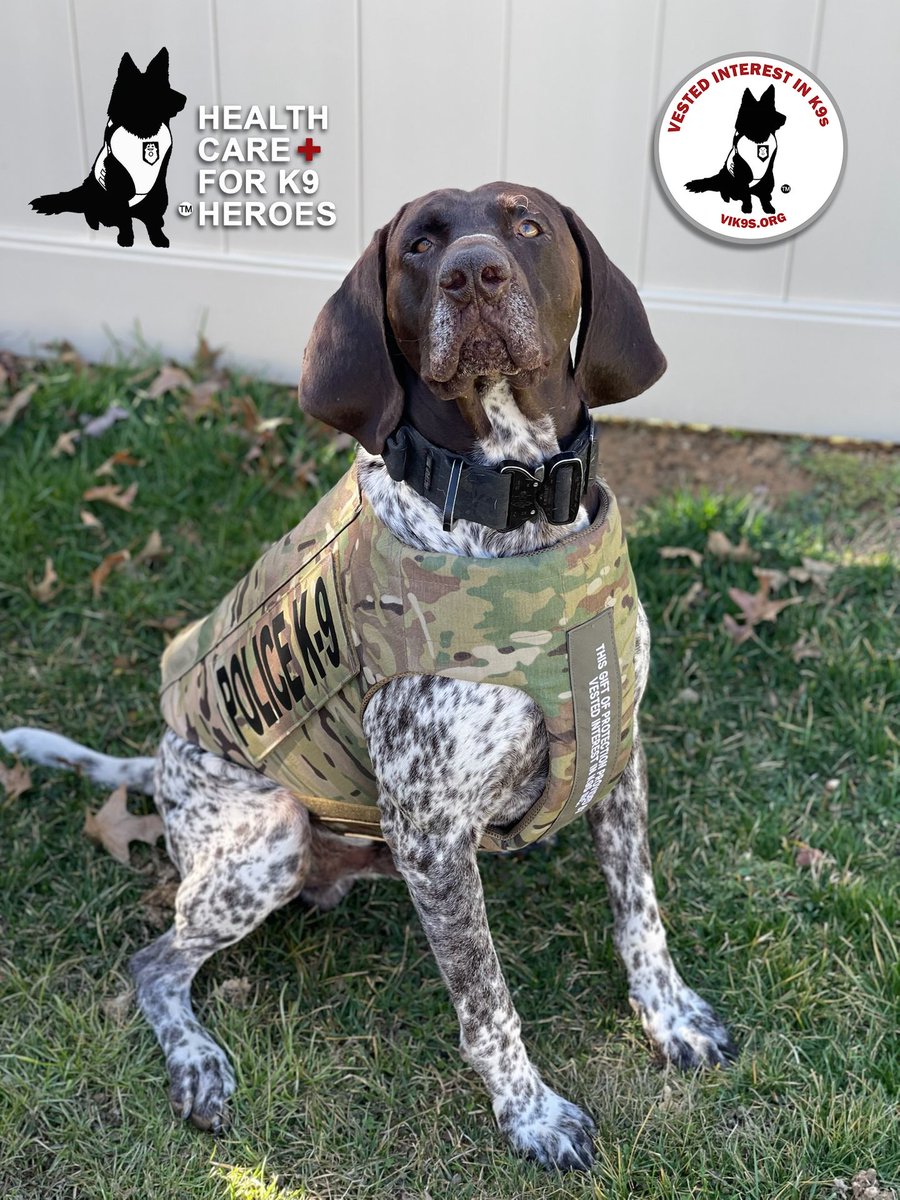 GREAT NEWS! K9 Tony of Huntingdon Borough PD, PA has been awarded a “Healthcare for K9 Heroes” Grant from #VIK9s.

The program pays annual premiums for K9 health insurance policies.

More info here: bit.ly/4awMVFW

#K9MedicalInsurance #ProtectingK9s #VestedInterestInK9s