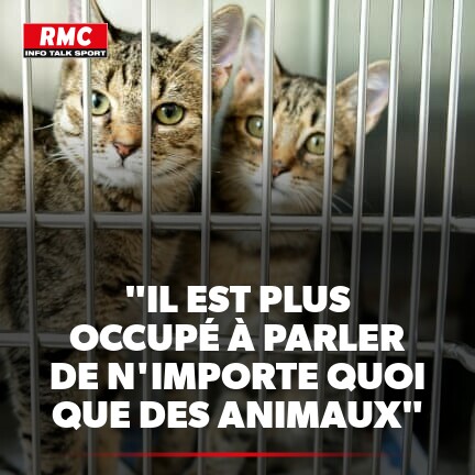 GG_RMC's tweet photo. Parti animaliste et cause animale: le gros tacle de Barbara Lefebvre à Aymeric Caron 
► https://t.co/EFn5oJrVsl https://t.co/wPdJFiH8WD