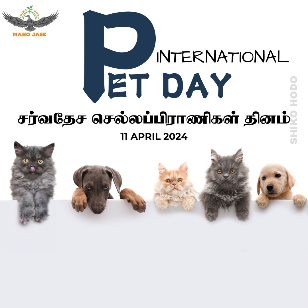 🐾 Happy International Pet Day! 🎉 Celebrating the love and joy our pets bring into our lives. Observed on April 11th, let's cherish our furry friends with extra cuddles and treats today! 🐶🐱🐰
.
.
.
#InternationalPetDay #PetLove #FurryFriends #AnimalCompanions #PetAppreciation